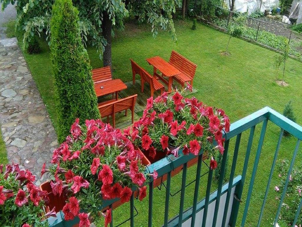 Apartments Radovic Kolasin Exterior photo